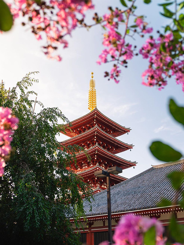 Храм Сэнсо-Дзи, Токио, Япония