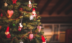 Секреты ухода за новогодней елкой: как продлить ее свежесть