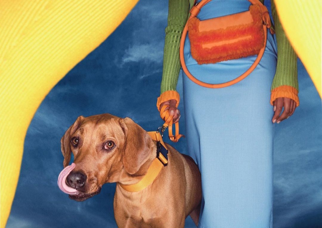 Jacquemus кампания сумочки мода собаки новости коллекция