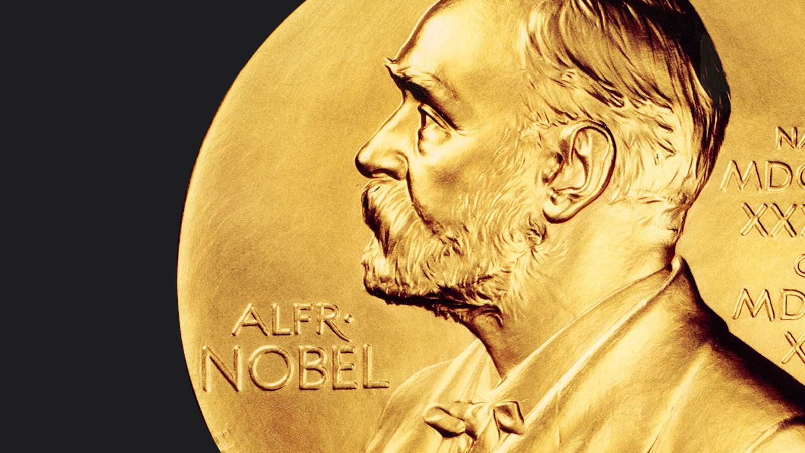 Владимир Зеленский новости Украина европа политика Нобелевская премию мира