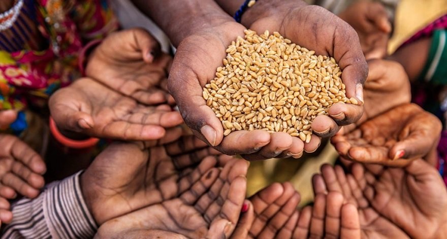 ООН катастрофическийголод кризис голод угроза еда санкции