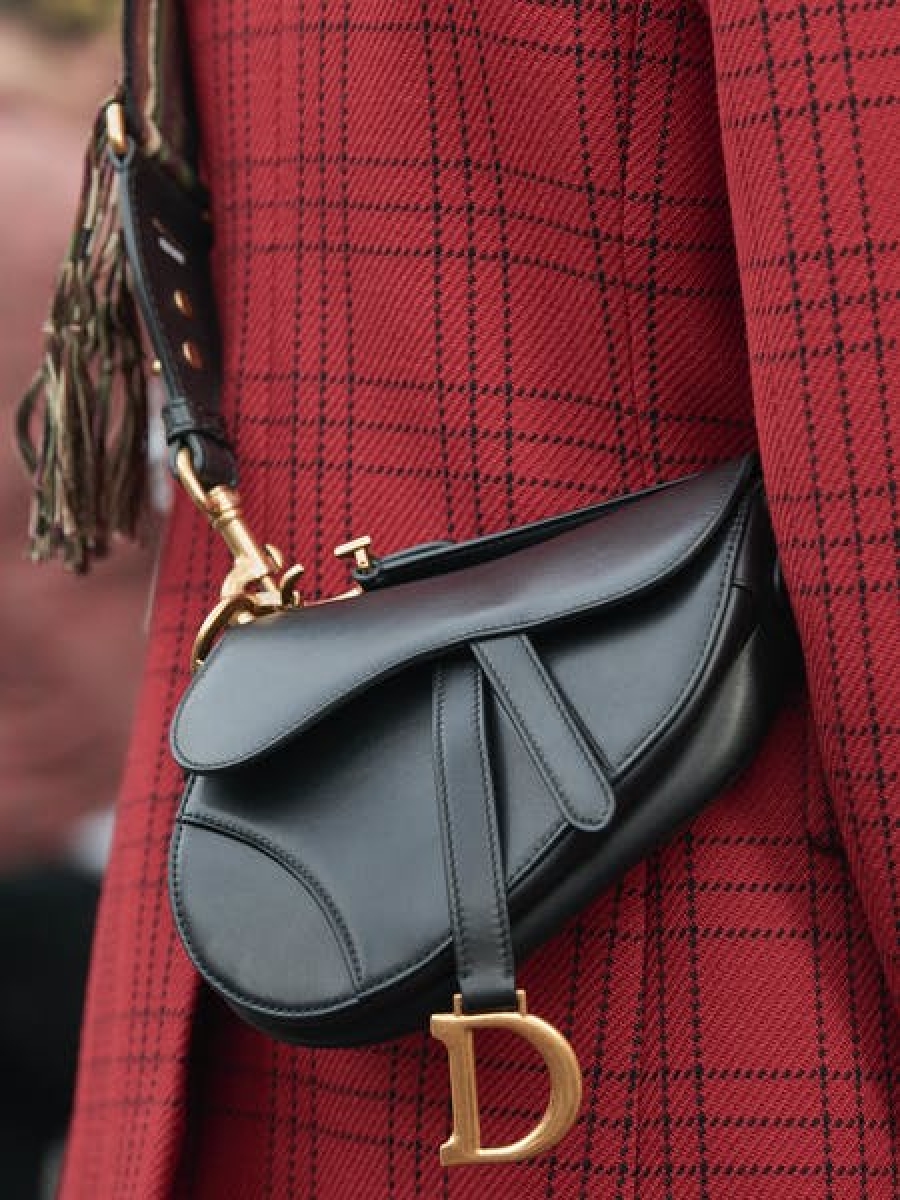 Юристам Dior отказали в регистрации силуэта Saddle Bag в качестве товарного знака