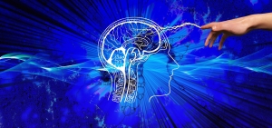 областьмогза мозг человек мысли сознание чувства навязчивыемысли наука