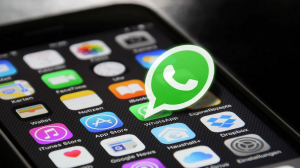 WhatsApp новости технологии новинки телефон связь новости 