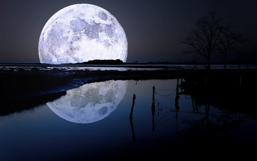 гороскоп луна полнолуние полнаялуна январь 2022 звезды созвездие небо волчьялуна 18января