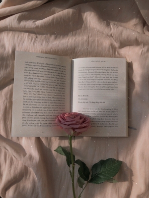 Что почитать: книги о «другой» любви